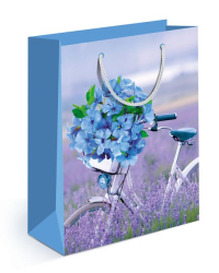 Пакет подарочный (MS) матовый