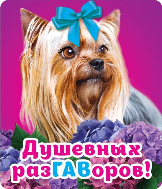 Виниловый магнит "Душевных разГАВоров"