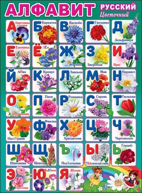 Плакат "Алфавит русский Цветочный"