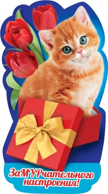 Виниловый магнит "ЗаМУРчательного настроения"