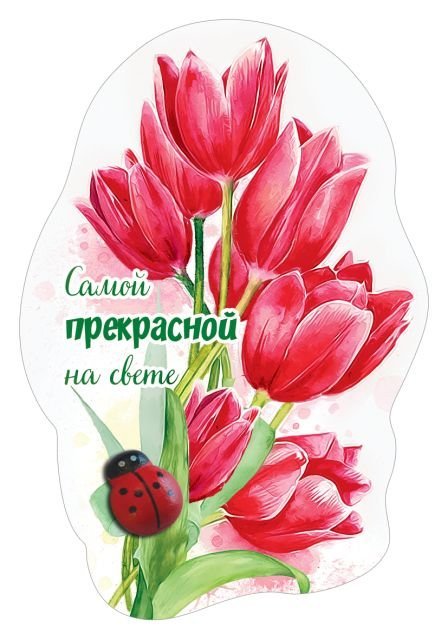 Виниловый магнит "Самой прекрасной на свете!"