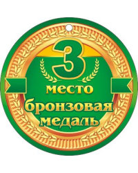 3 место. Бронзовая медаль