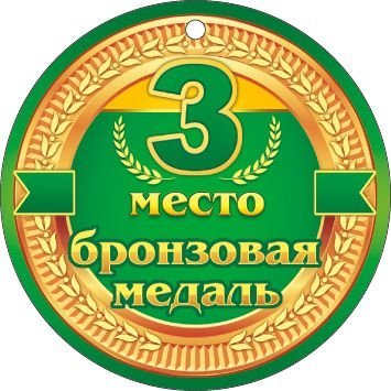 3 место. Бронзовая медаль