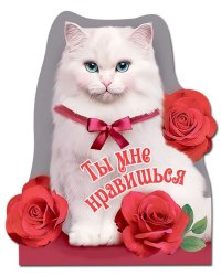 Виниловый магнит "Ты мне нравишься"