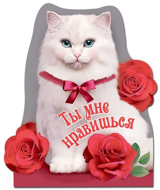 Виниловый магнит "Ты мне нравишься"