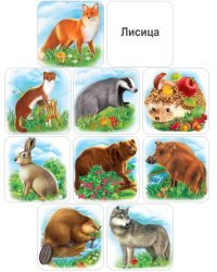 Набор обучающих карточек "Дикие животные и птицы"