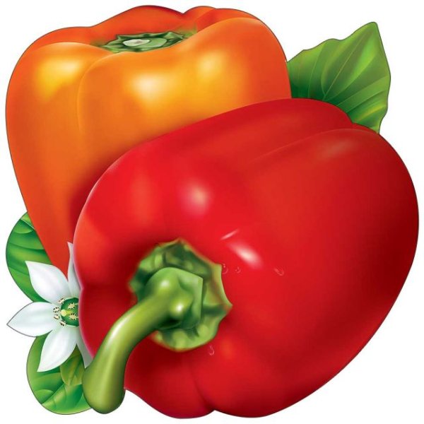 Украшение на скотче "Перцы" Украшение на скотче "Перцы"