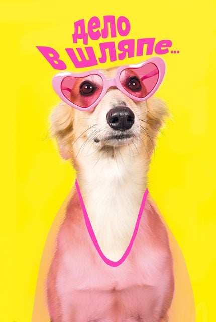 Открытка-отношение "Всё дело в шляпе..."