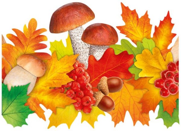 Без надписи (корона) ГРИБЫ