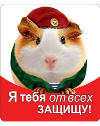 Виниловый магнит "Я тебя от всех защищу!"