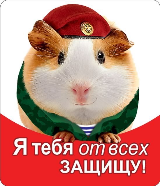 Виниловый магнит "Я тебя от всех защищу!"