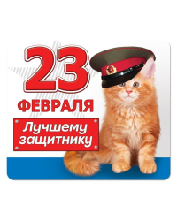 Виниловый магнит "Лучшему защитнику!"