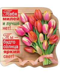 Виниловый магнит "Тебя милей и лучше нет!"