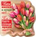 Виниловый магнит "Тебя милей и лучше нет!"