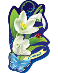 Виниловый магнит "Мечтай!"