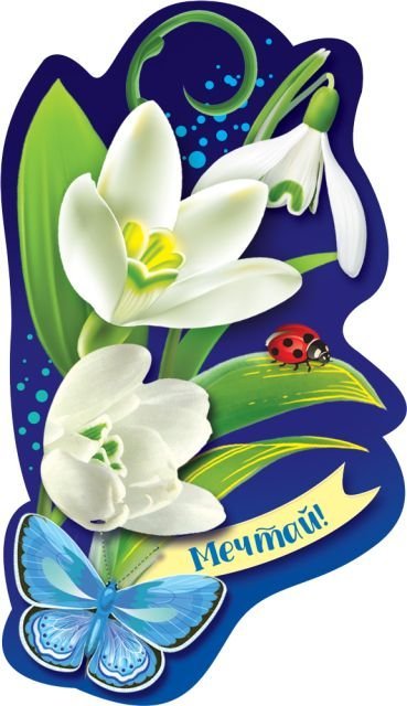 Виниловый магнит "Мечтай!"