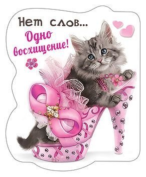 Виниловый магнит "Нет слов- одно восхищение!"
