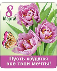 Магнит виниловый "Пусть сбудутся все твои мечты!"