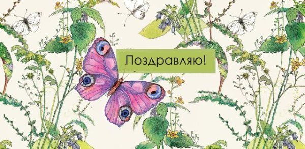 Конверт для денег "Поздравляю!"