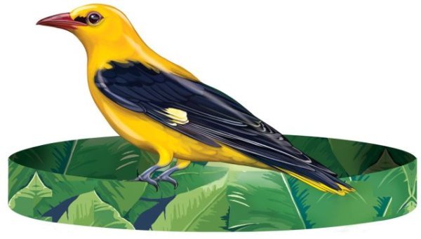 Без надписи (ободок) ИВОЛГА