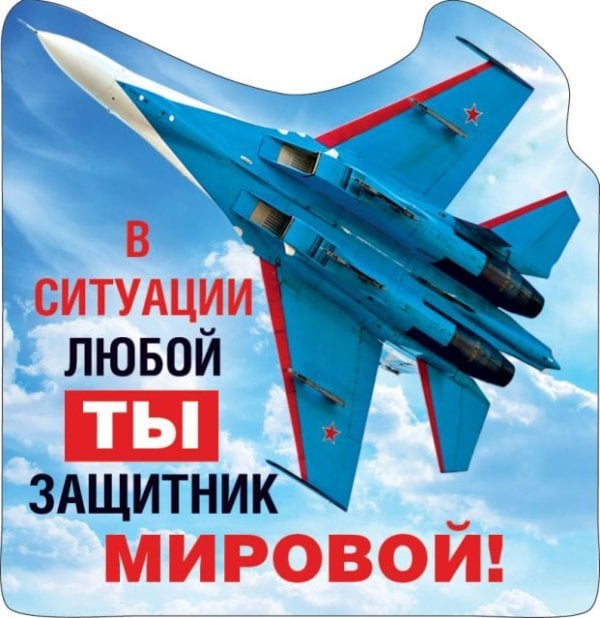 Виниловый магнит "В ситуации любой ты защитник мировой!"