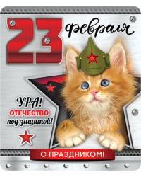 Виниловый магнит "Ура! Отечество под защитой!"