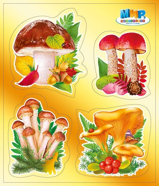 Наклейка "Грибы"