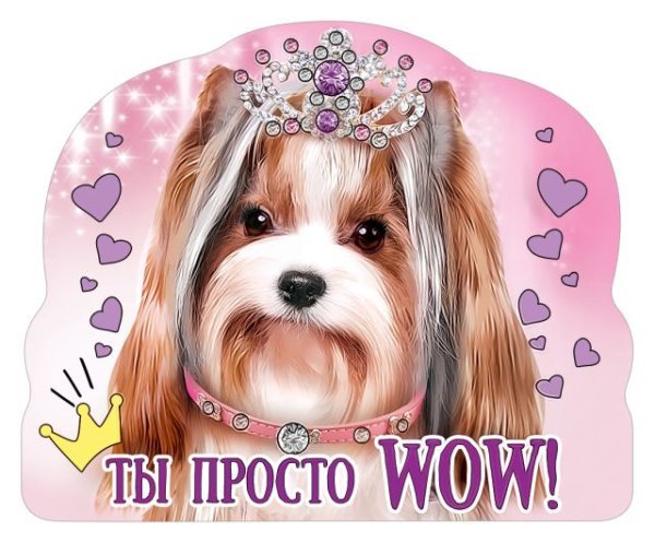 Виниловый магнит "Ты просто wow!"