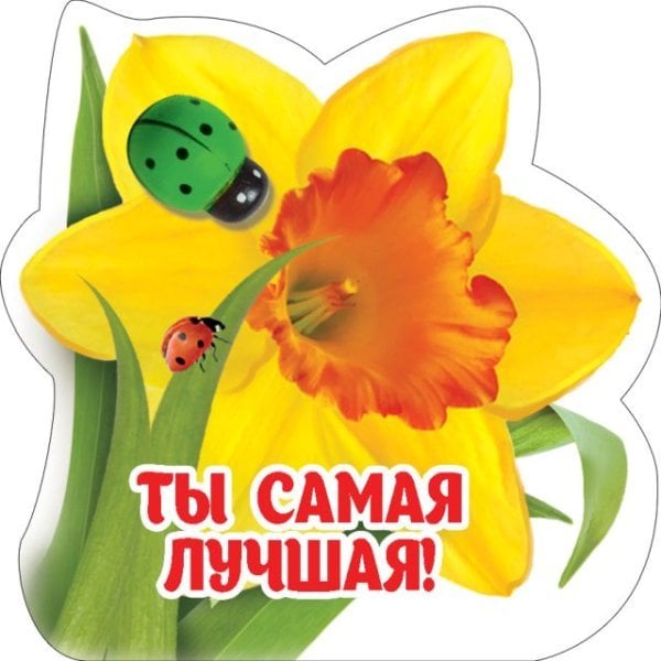 Виниловый магнит "Ты самая лучшая"