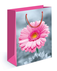 Пакет подарочный (MS) матовый