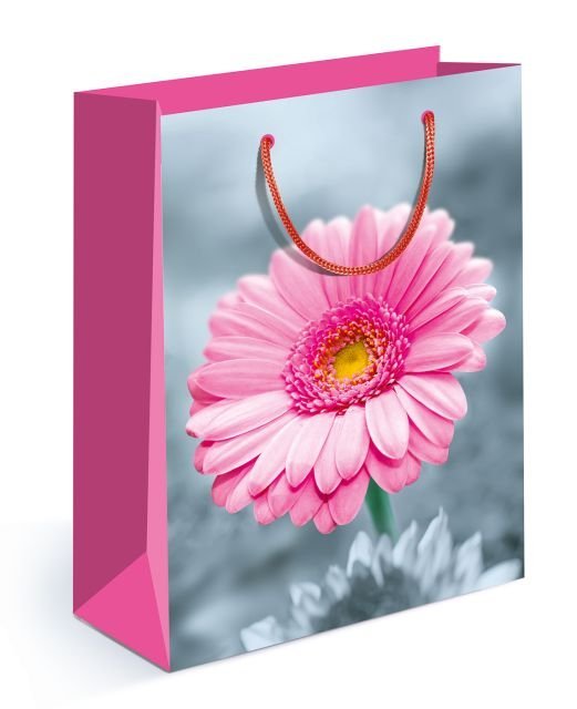 Пакет подарочный (MS) матовый