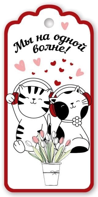 Бирка для подарка "Мы на одной волне!"