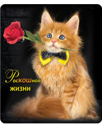 Виниловый магнит "РосКОШной жизни"