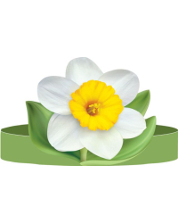 Корона Без надписи (ободок) НАРЦИСС