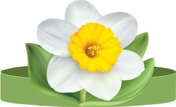 Корона Без надписи (ободок) НАРЦИСС