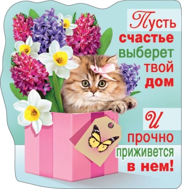 Виниловый магнит "Пусть счастье выберет твой дом..."