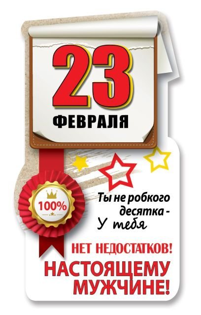 Виниловый магнит "Ты не робкого десятка, у тебя нет недостатков"