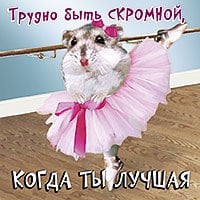 Магнит 3D Лакарт