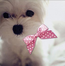 Открытка Лакарт