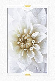 Открытка Лакарт
