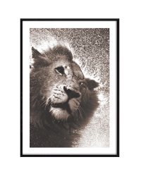 Постер 50*70 в черной рамке из дерева