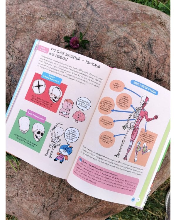 Увлекательная наука в комиксах. Химия и биология