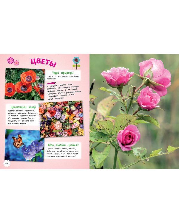 Природа. Большая энциклопедия для маленьких