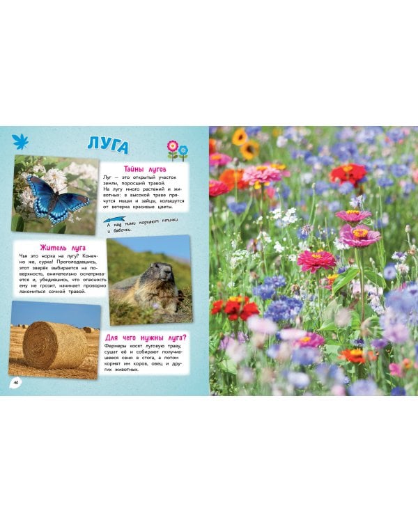 Природа. Большая энциклопедия для маленьких