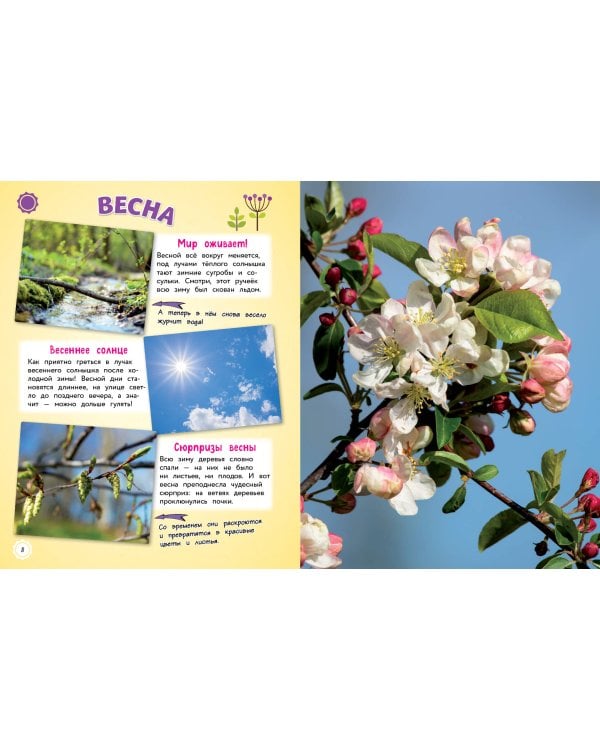 Природа. Большая энциклопедия для маленьких