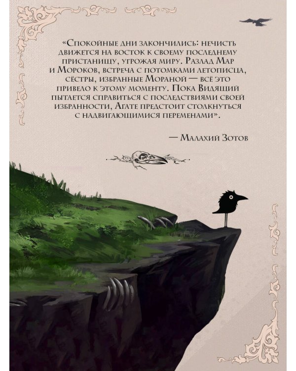 Морана и Тень. Видящий (формат клатчбук)
