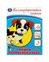 Пишем прописные буквы. Каллиграфическая пропись. 145х195 мм. Скрепка. 16 стр. Умка в кор.50шт