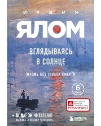 Вглядываясь в солнце. Жизнь без страха смерти