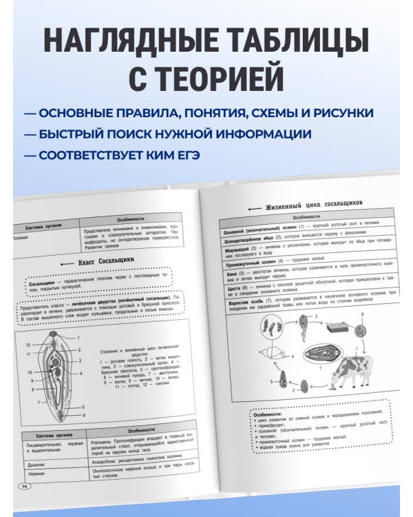 Дополнительное изображение книги «Биология»