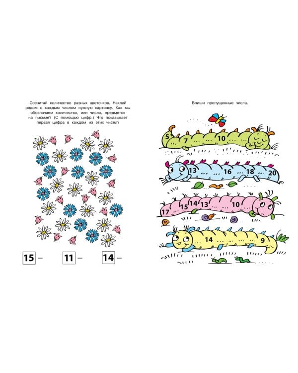 Цифры и счет (5-6 лет)